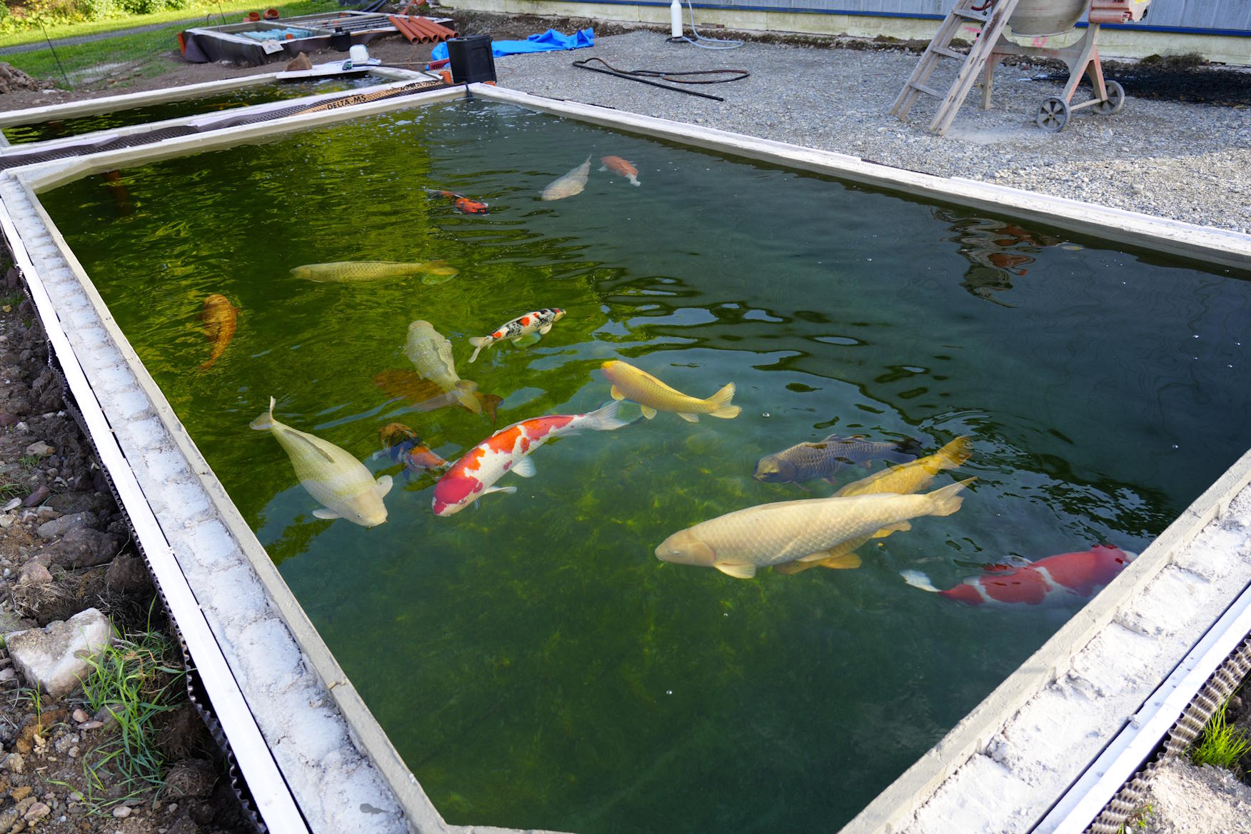 Großkoiteich im Selbstbau mit 53.000 Litern, geplant und umgesetzt für hohe Effizienz und klare Wasserqualität