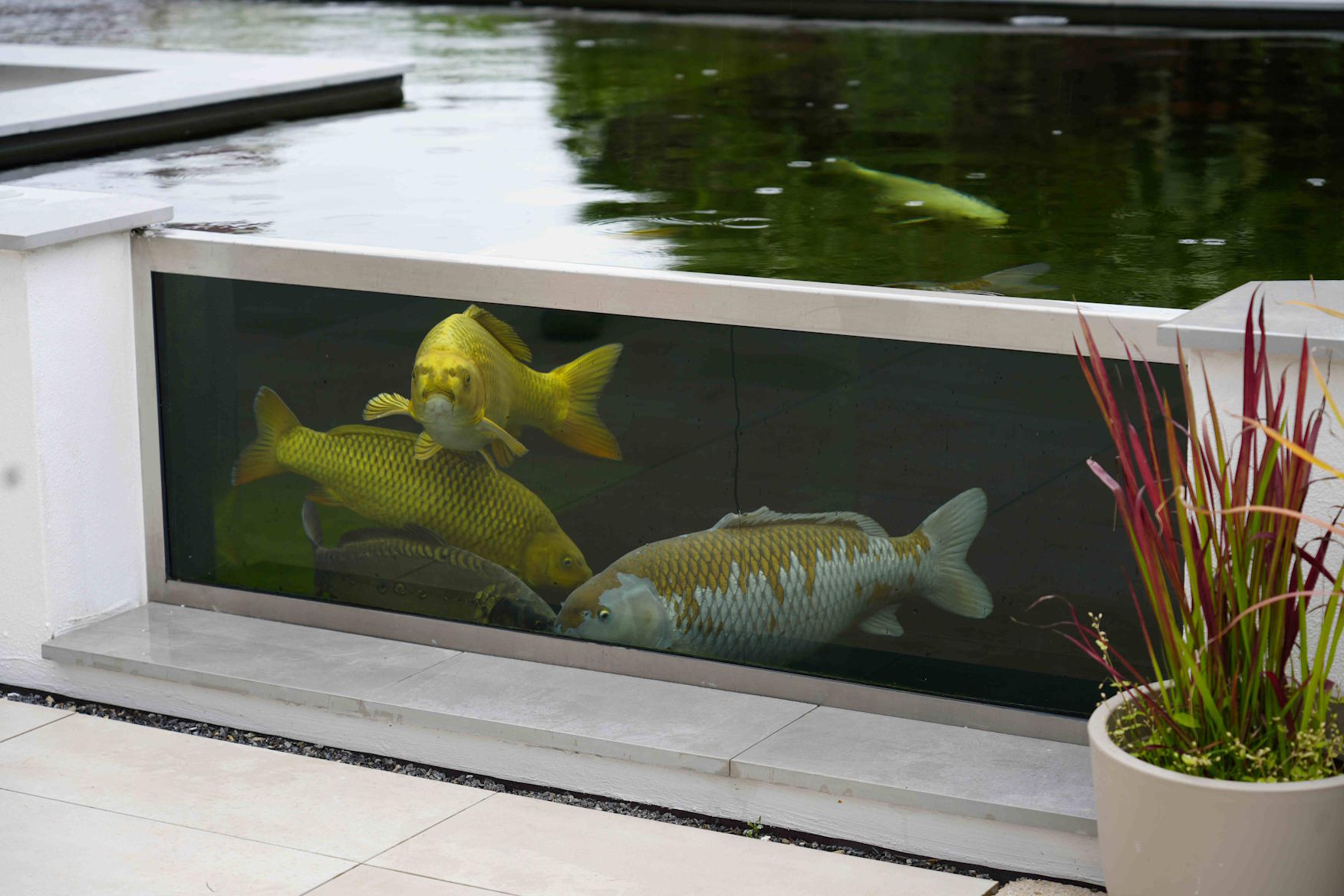 Koiteich im Bau, PVC-Folie und vorbereitete Technik, geplant für Selbstbau mit klarer technischer Struktur