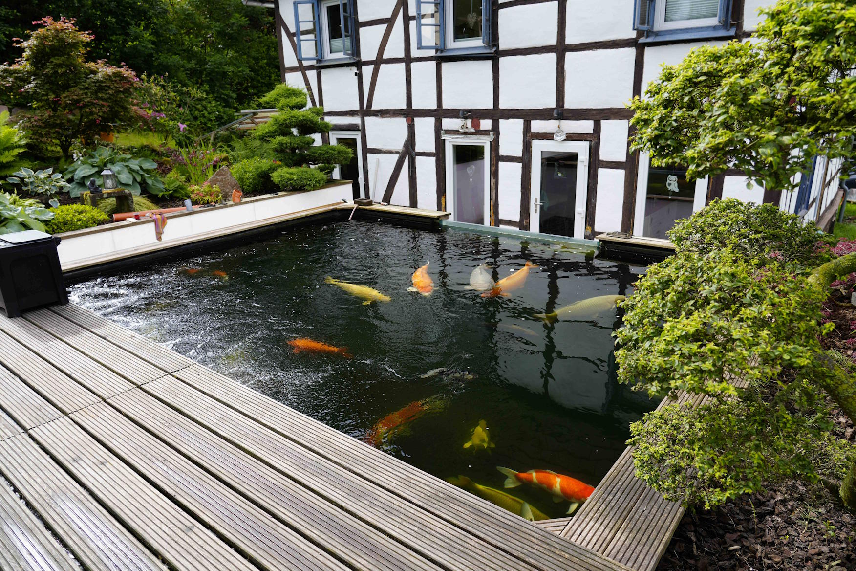 Pflegeleichter Koiteich mit 37.400 Litern, geplant für geringe Betriebskosten und stabile Koi-Haltung