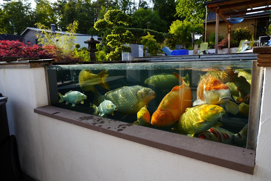 Koiteich mit Trommelfilter und Wärmepumpe, geplant für energieeffizienten Dauerbetrieb