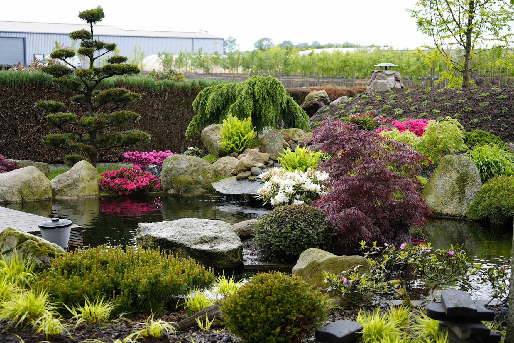 Koiteich-Neuanlage mit Dichtschlämme, ca. 45.000 Liter, geplant für langlebige Bauweise und energieeffizienten Betrieb